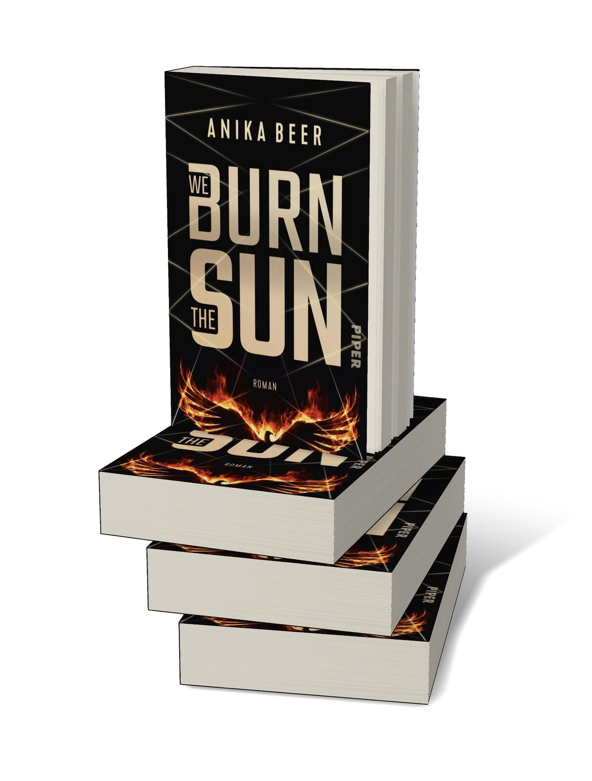 We Burn the Sun